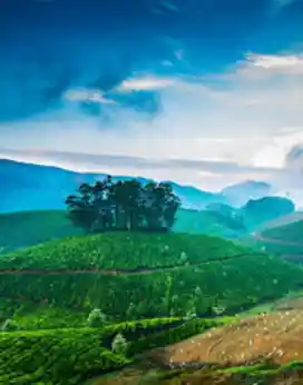 munnar-destinations